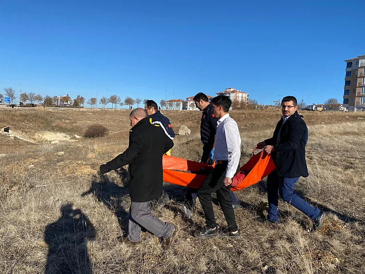 Ankara’da başıboş köpek dehşeti: Okuldan dönen çocuk ölümden döndü!