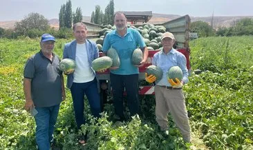 Delice’de kavun tarlalarında bereket sevinci #kirikkale