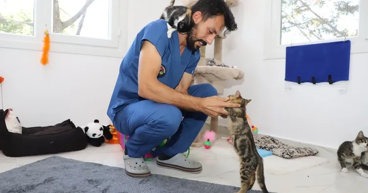 Sokak hayvanlarına son teknoloji merkez