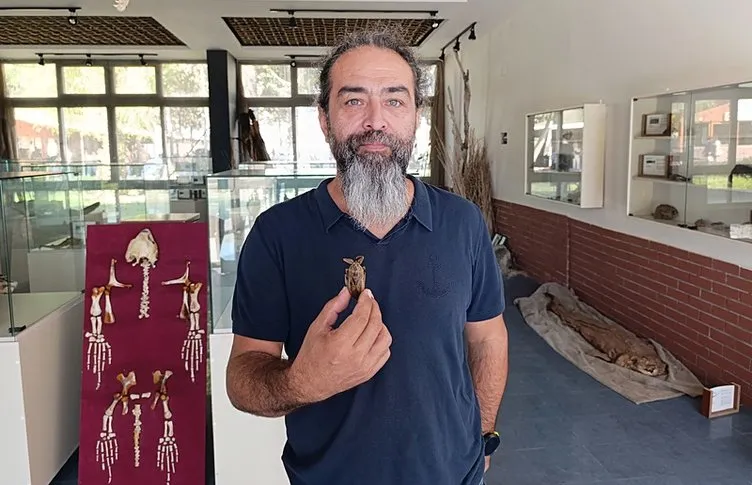 Türkiye’de ilk kez orada görüldü: Parmak kopartan böcek!