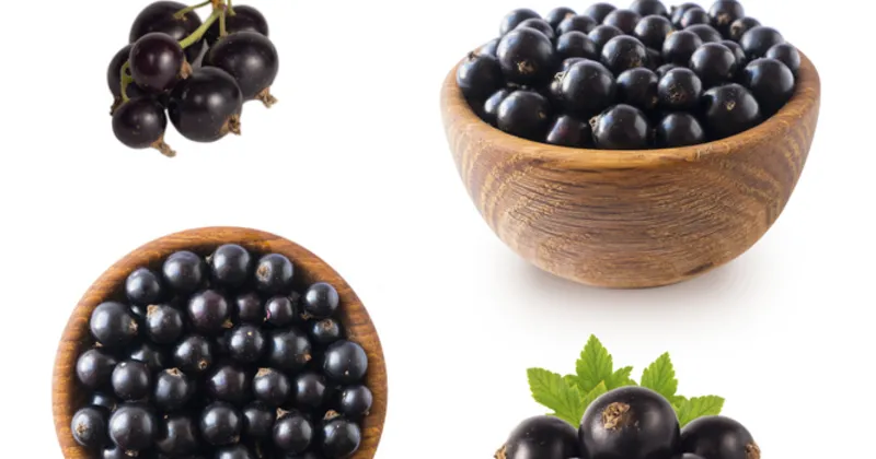 Frenk Uzumu Faydalari Ve Zararlari Nelerdir Mucize Meyve Frenk Uzumu Nedir Nerede Yetisir Saglik Haberleri