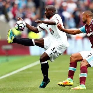 Stefano Okaka