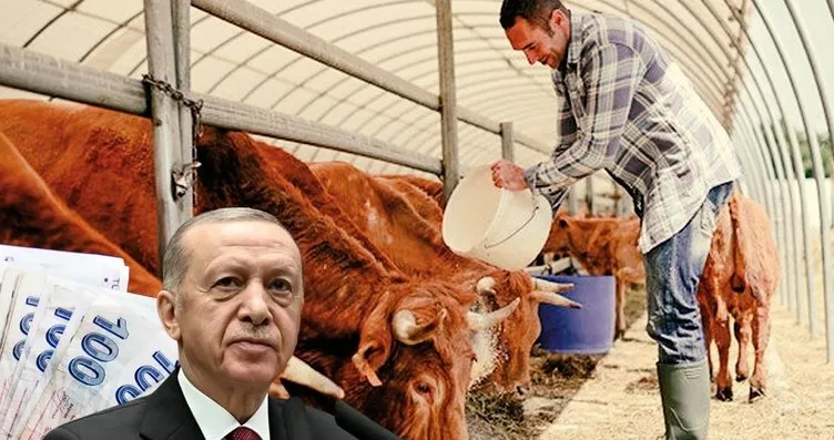 Üreticilere yüzde 70 ek destek! Başkan Erdoğan...