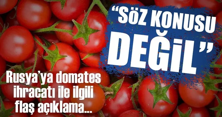 Rusya’ya domates ihracatı ile ilgili bakanlıktan çok önemli açıklama!