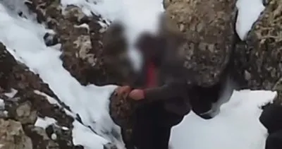 Tunceli’de koruma altındaki 2 yaban keçisini avlayanlara 1 milyon 300 bin lira para cezası #tunceli