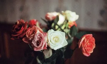 İsimsiz çiçek ’taciz’ sayılabilir! İki kez düşünün!