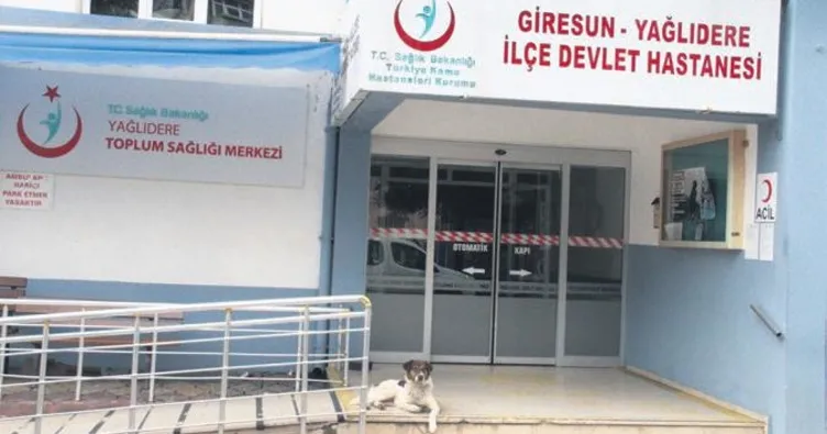 Sahibini hastane önünde bekliyor