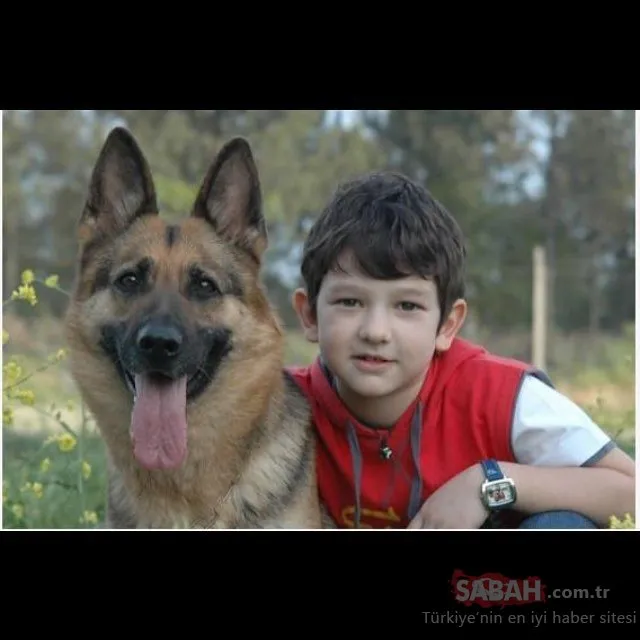 Aliye Dizisinin Arda Si Ayberk Kocar Artik Buyudu Ayberk Kocar In Son Hali Gorenleri Sasirtti Galeri Magazin Aliye Dizisinin Arda Si Ayberk Kocar Artik Buyudu Ayberk Kocar In Son Hali Gorenleri Sasirtti Galeri Magazin