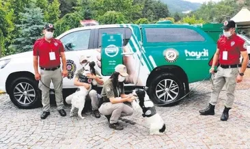 Hayvan suçlarının amansız takipçileri