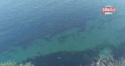 Manzara keyfi kazayla son buldu: Otomobil 150 metreden denize uçtu | Video