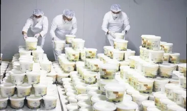 Mahkûmlardan yoğurt ve tereyağı üretimi