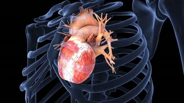 Sıvı kaybı kalp krizini tetikliyor
