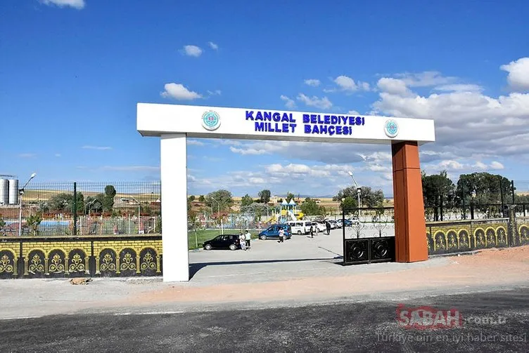Türkiye’nin ilk ’Millet Bahçesi’ Sivas’a açılıyor