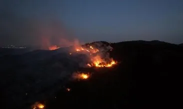 Bilecik'teki orman yangını söndürüldü #bilecik