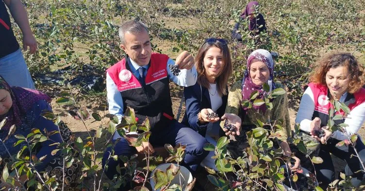 Erdek Kaymakamı Atasoy’dan Dünya Kadın Çiftçiler Günü ziyareti