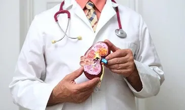 Böbrekleri kurtaracak mikroRNA bulundu