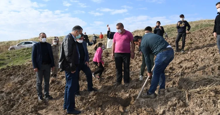 Adıyaman’da nar dikimi yapıldı
