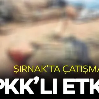Şırnak’ta 6 PKK’lı terörist etkisiz hale getirildi