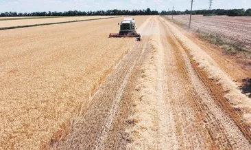 Türkiye’ye tahıl alımında ayrıcalık tanınacak