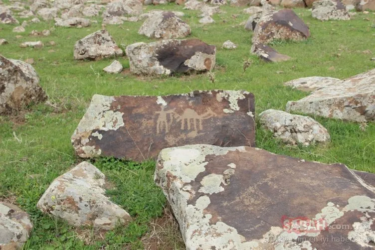 Şırnak'ta tarihi buluş! Tunç Çağı’na dayanıyor