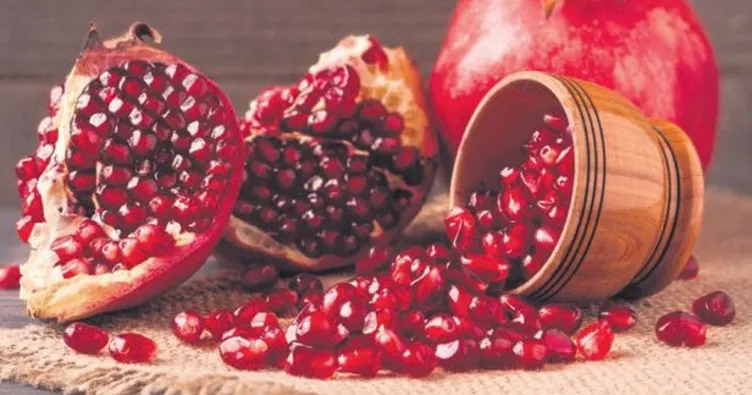 Türkiye’nin tohum haritası