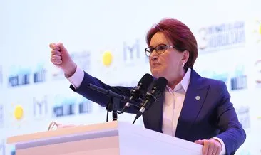İYİ Parti’de istifa depremi sürüyor! O isimden Meral Akşener’e şok sözler: Hedefini ve vizyonunu kaybetti!