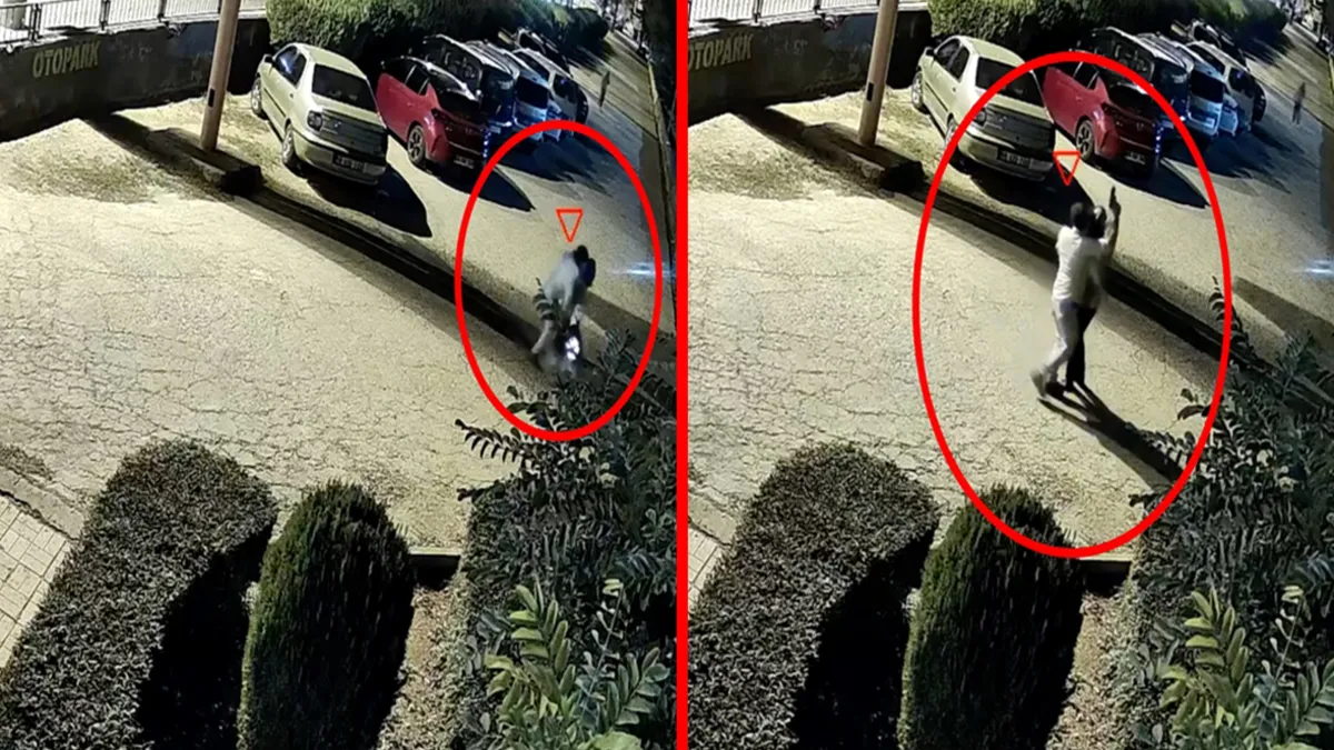 Diyarbakır’da dehşet! "Çocuğumu göreceğim" deyip kurşun yağmuruna tuttu! Cani eş yakalandı haber görseli