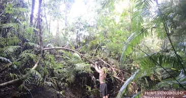 Ormanın kralı iş başında