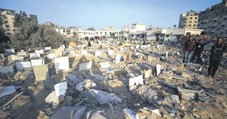 Ceset kokusu her yerde