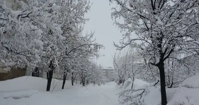 9,5 metre kar yağdı, ekipler seferber oldu #bitlis