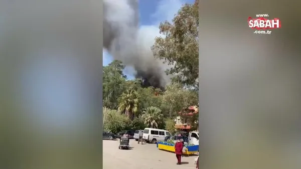 Göcek’te orman yangını çıktı | Video