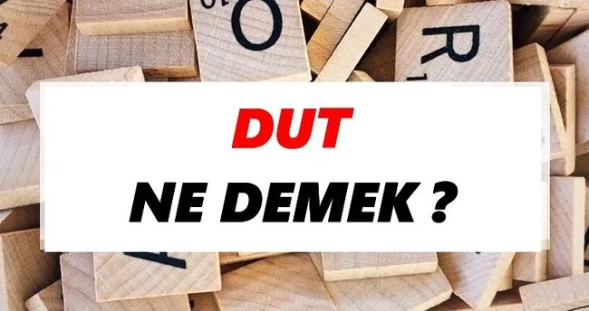 Dut Ne Demek? TDK’ya Göre Dut Sözlük Anlamı Nedir?