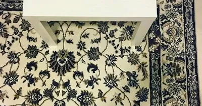 Halının üzerindeki telefon nerede? Sosyal medya bu fotoğrafı konuşuyor…