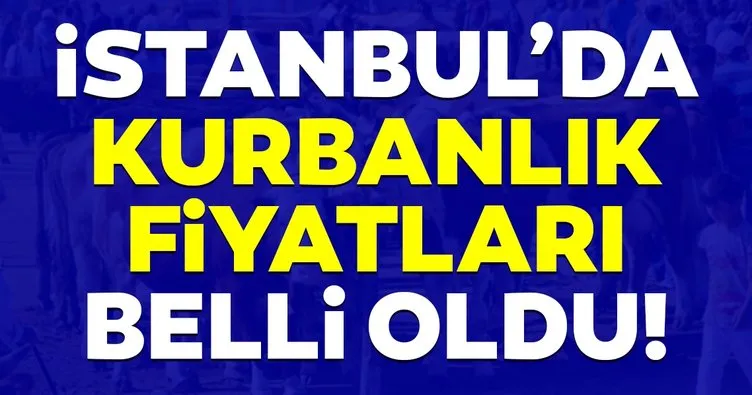 İstanbul’da kurbanlık fiyatları belli oldu!
