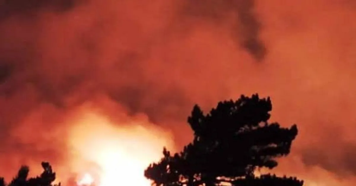 Izmir De Baslayan Yangin Balikesir E Dayandi Son Dakika Haberler