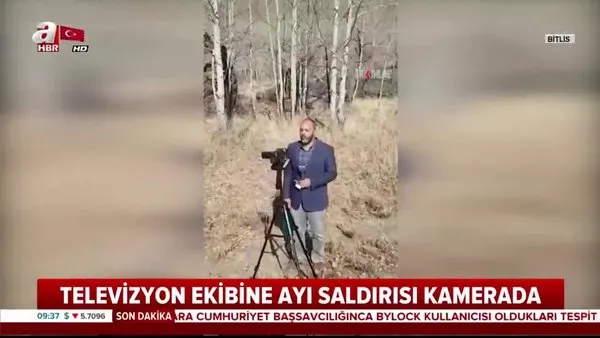 Bitlis'te televizyon ekibine ayı saldırısı kamerada!