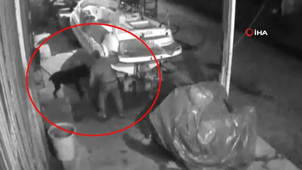 marmaris teki pitbull dehsetinin goruntuleri ortaya cikti iskence anlari kamerada video