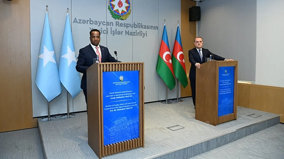 'Türkiye, Azerbaycan ve Somali birlikte çalışabilir'