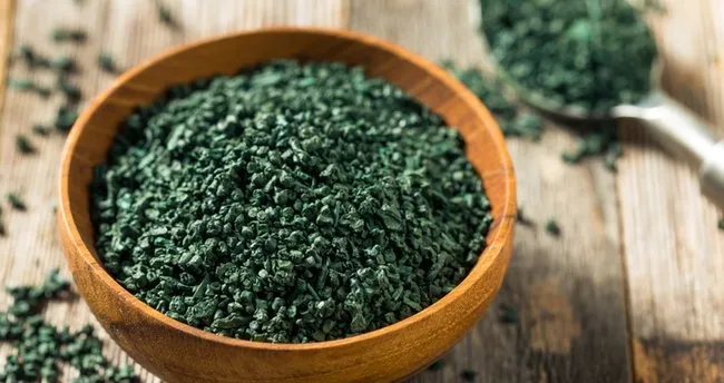 Spirulina Faydaları Nelerdir? Spirulina Nedir, Ne İşe Yarar? – Son Dakika Haberi Spirulina Faydaları Nelerdir? Spirulina Nedir, Ne İşe Yarar? – Son Dakika Haberi