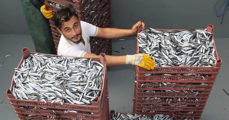 Fiyatı düşüşe geçen balığa vatandaşın ilgisi arttı
