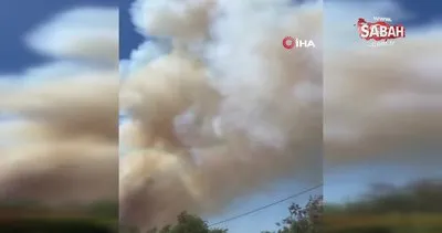 Fransa’da orman yangını: 600 hektarlık alan kül oldu | Video