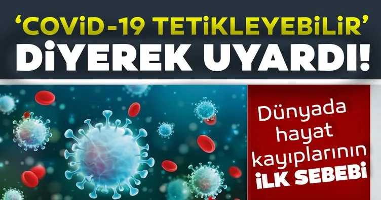 https www sabah com tr bebegimvebiz bebek 2019 12 18 bebegin kalp atisi hangi haftada belli olur