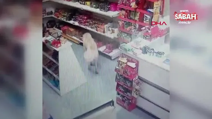 Sivas'ta marketten bisküvi alan köpek kamerada | Video
