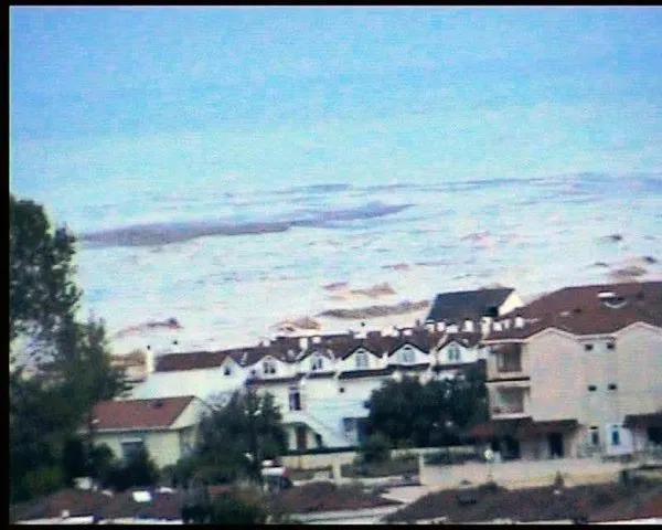 Kumbağ sular altında