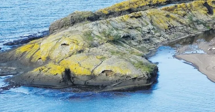 Bu ada timsaha benziyor