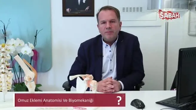 Omuz eklemi anatomisi biyomekaniği