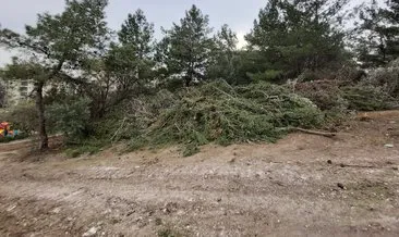 AK Partili Hızal, İzmir Büyükşehir Belediyesi’nin ağaçları kestiği görüntüleri paylaştı