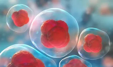 Kansere karşı genetiği değiştirilmiş akıllı hücreler geliyor