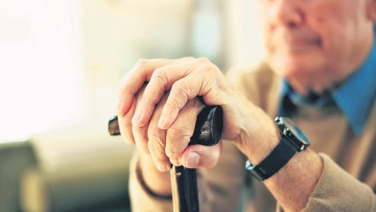 Asırlık çınarların sayısı 10 bini aştı