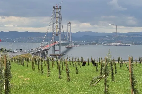 Osmangazi Köprüsü için tarihi gün!